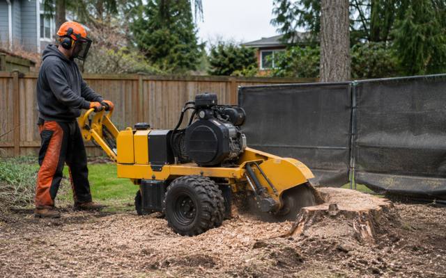 Grinder working through a large stump