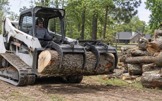 Crew lowering a large cut section during a tree removal